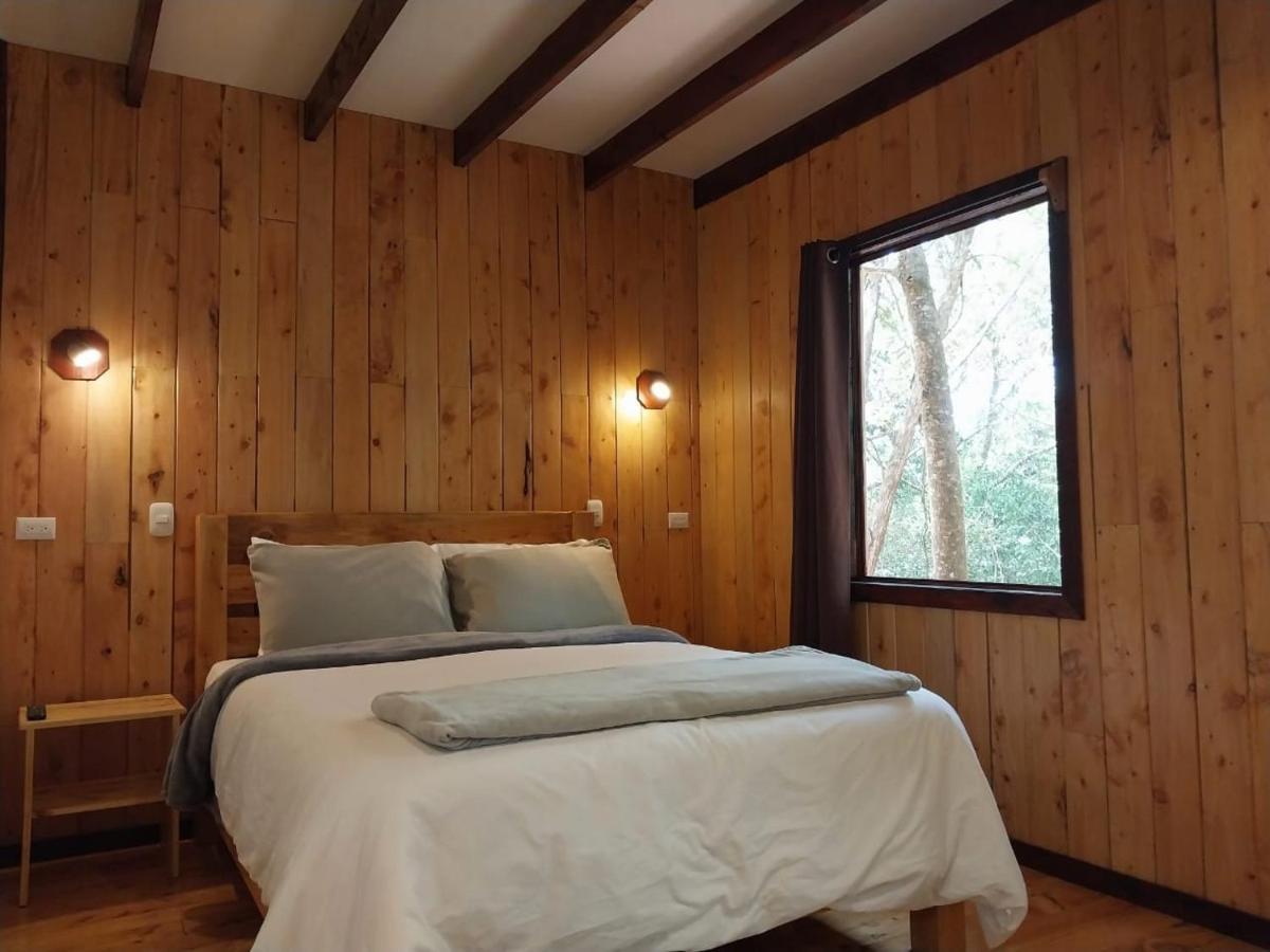 Curuba Lodge Copey ภายนอก รูปภาพ