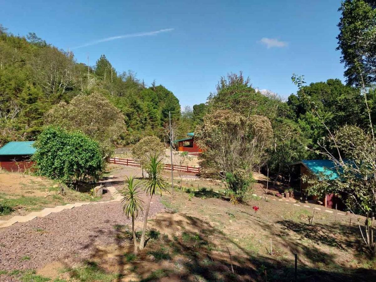Curuba Lodge Copey ภายนอก รูปภาพ
