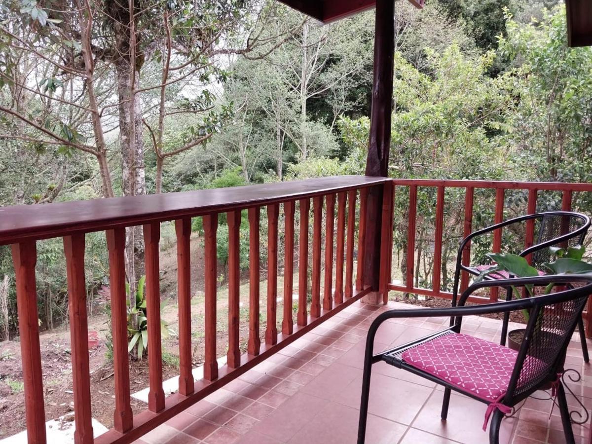 Curuba Lodge Copey ภายนอก รูปภาพ