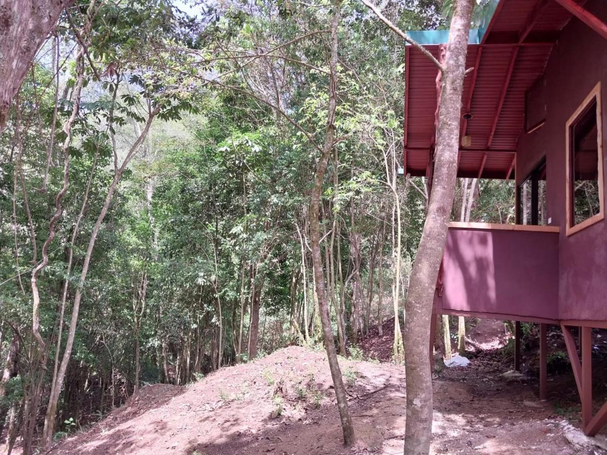 Curuba Lodge Copey ภายนอก รูปภาพ