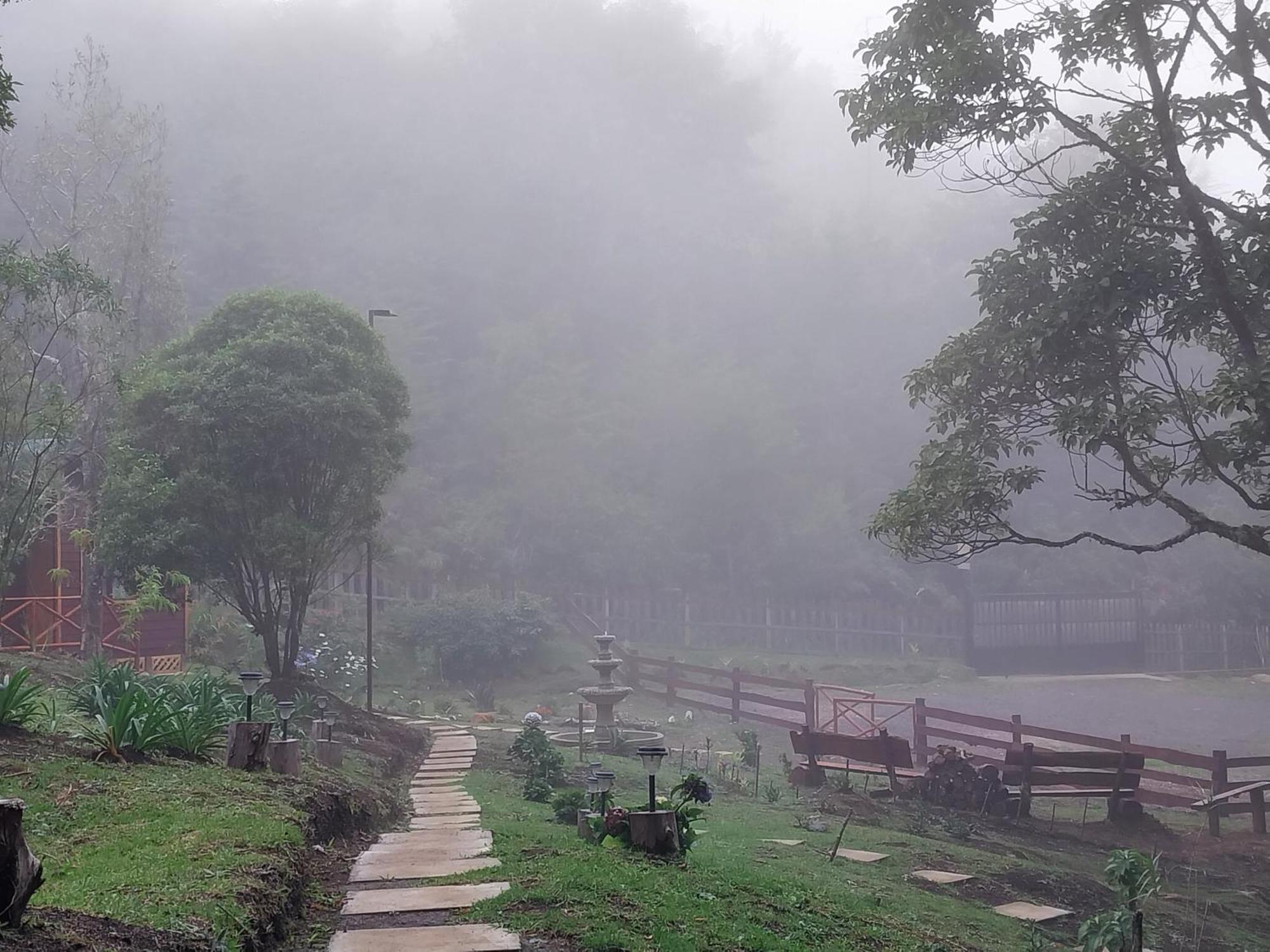 Curuba Lodge Copey ภายนอก รูปภาพ