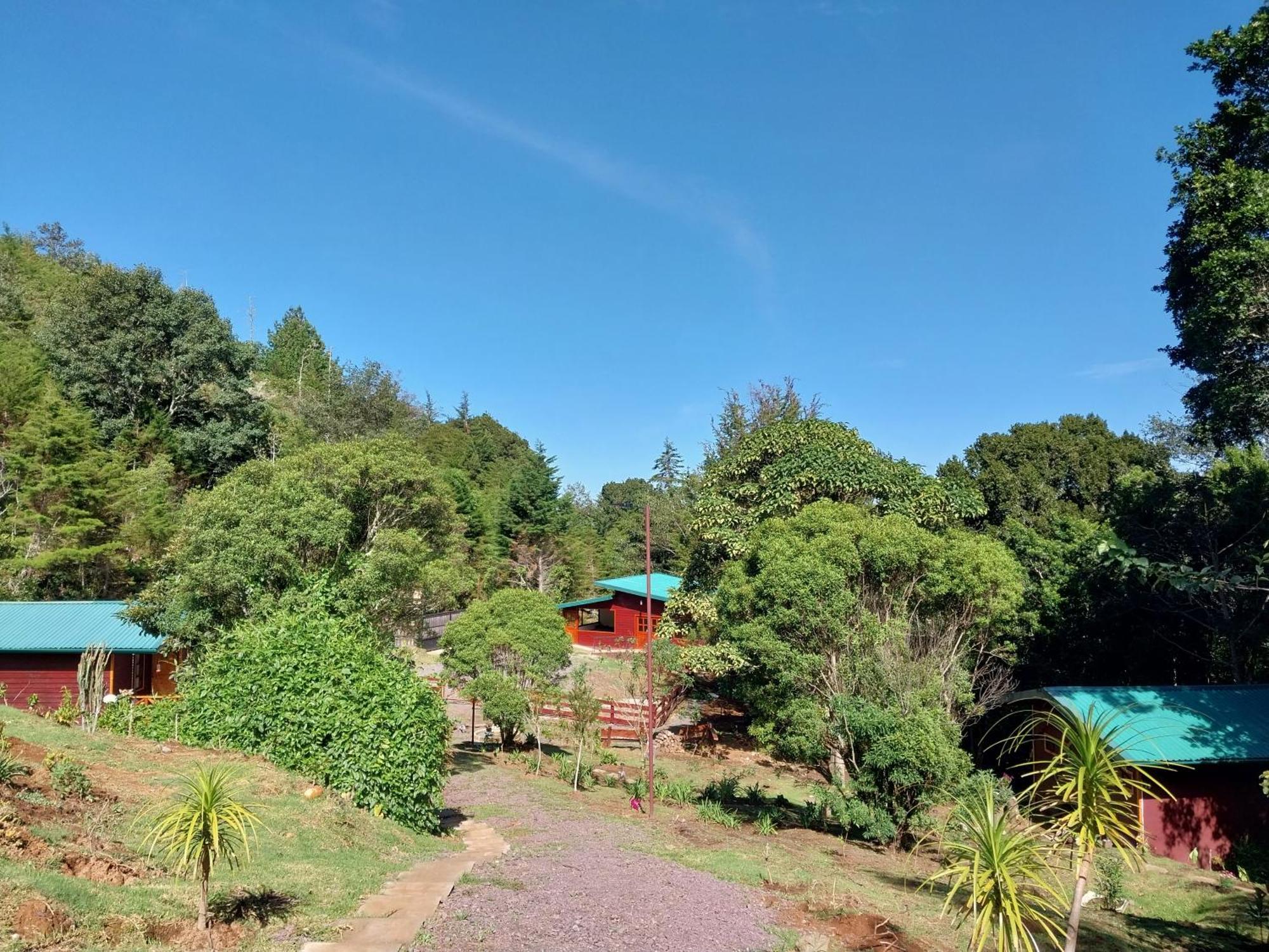 Curuba Lodge Copey ภายนอก รูปภาพ