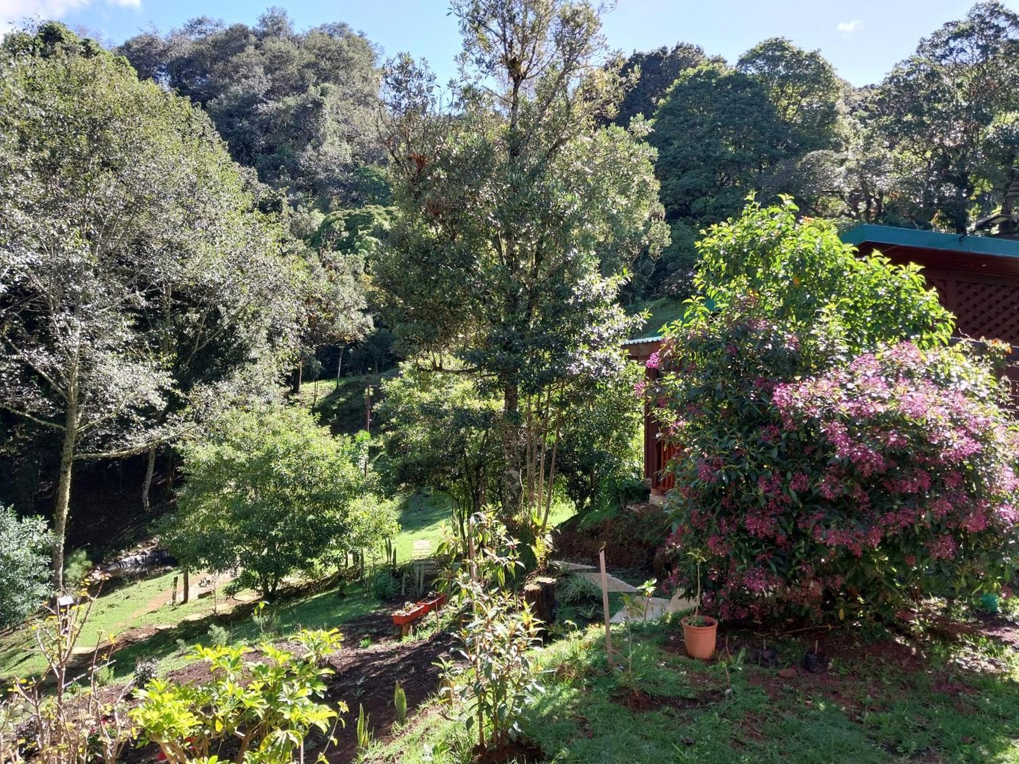Curuba Lodge Copey ภายนอก รูปภาพ