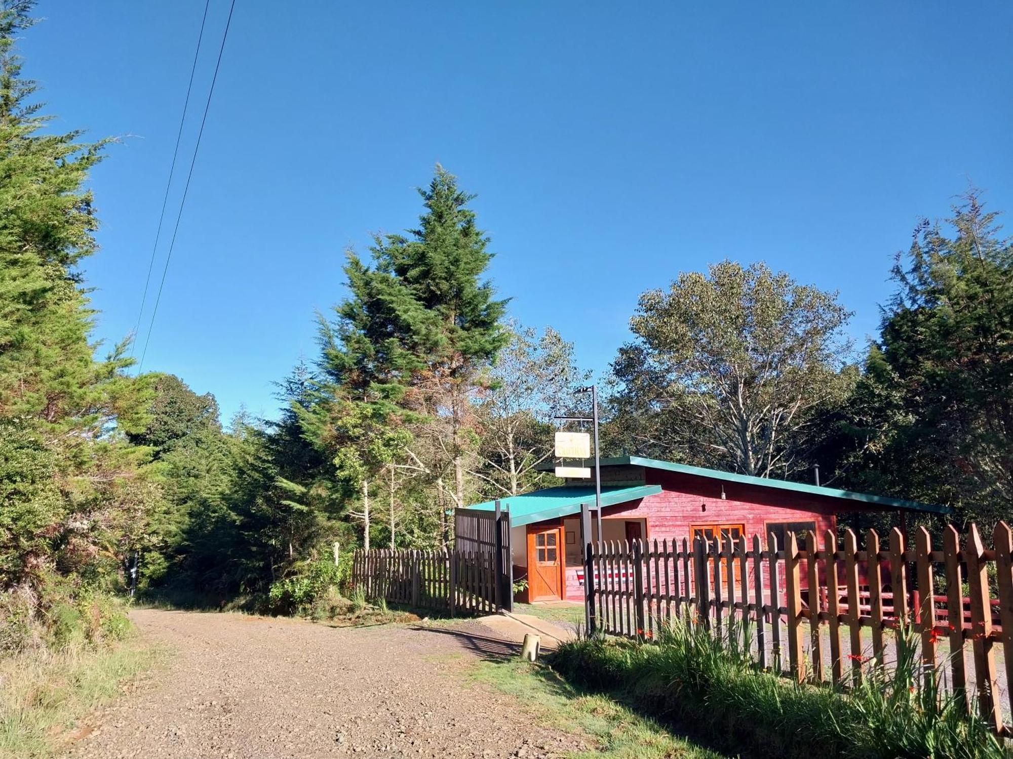 Curuba Lodge Copey ภายนอก รูปภาพ