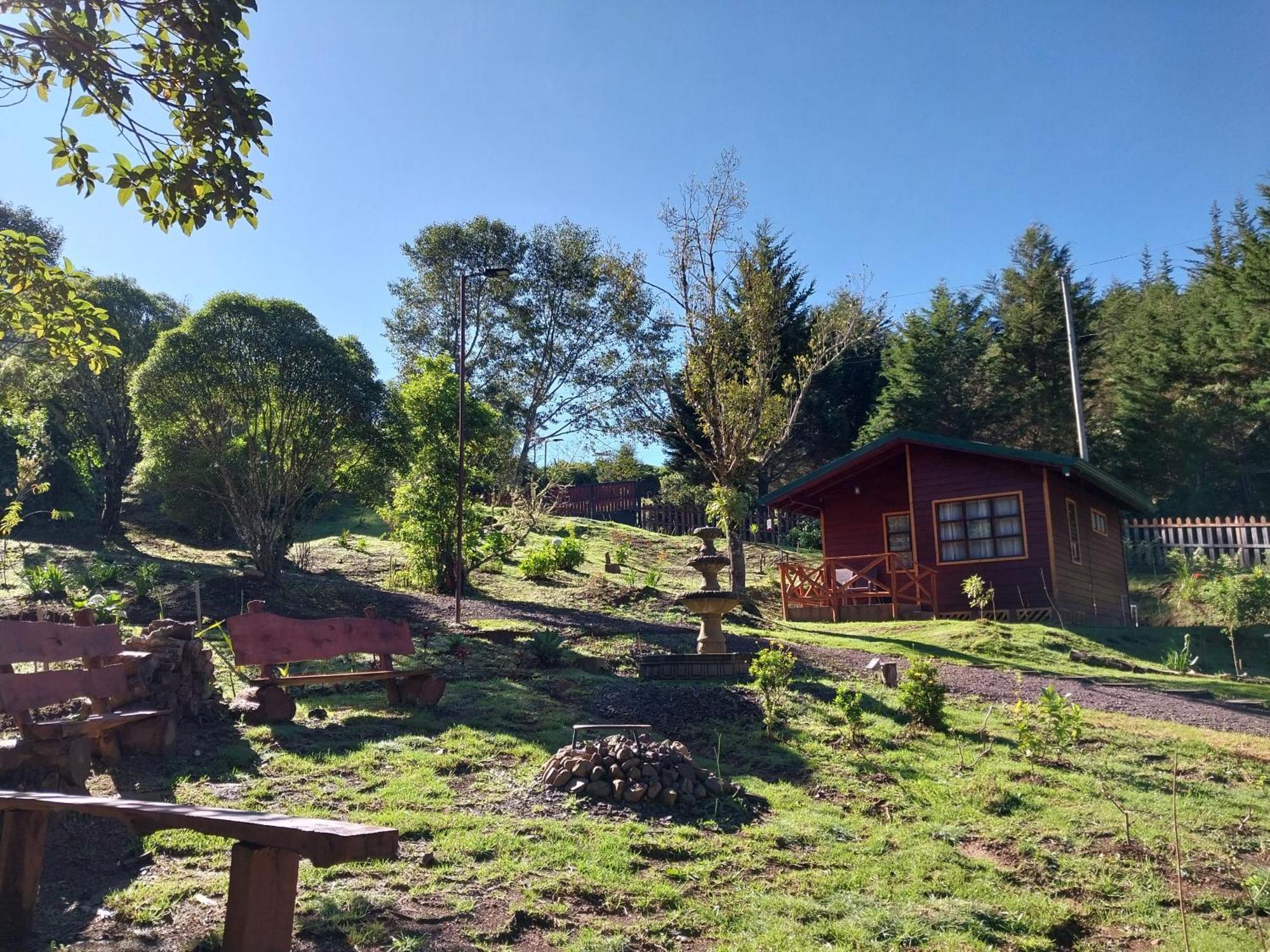Curuba Lodge Copey ภายนอก รูปภาพ