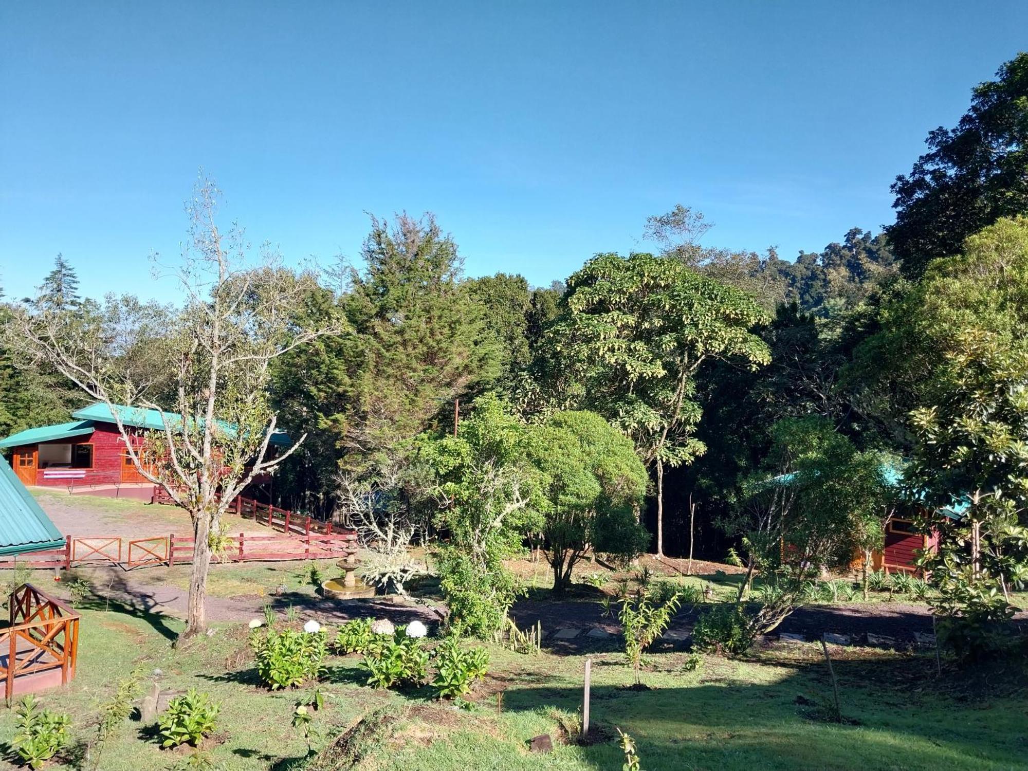 Curuba Lodge Copey ภายนอก รูปภาพ