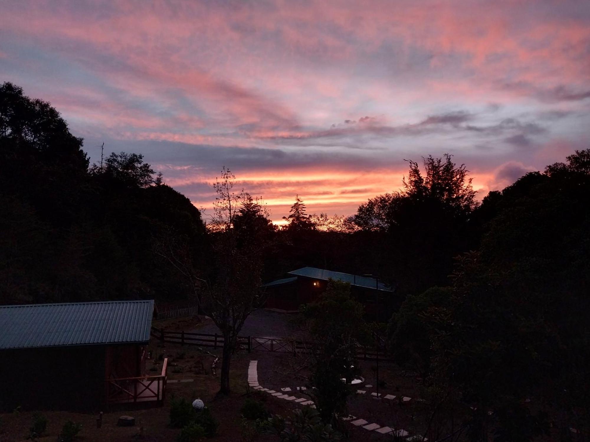 Curuba Lodge Copey ภายนอก รูปภาพ