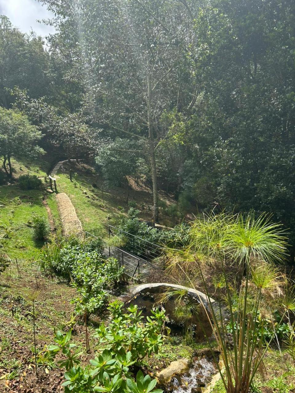 Curuba Lodge Copey ภายนอก รูปภาพ