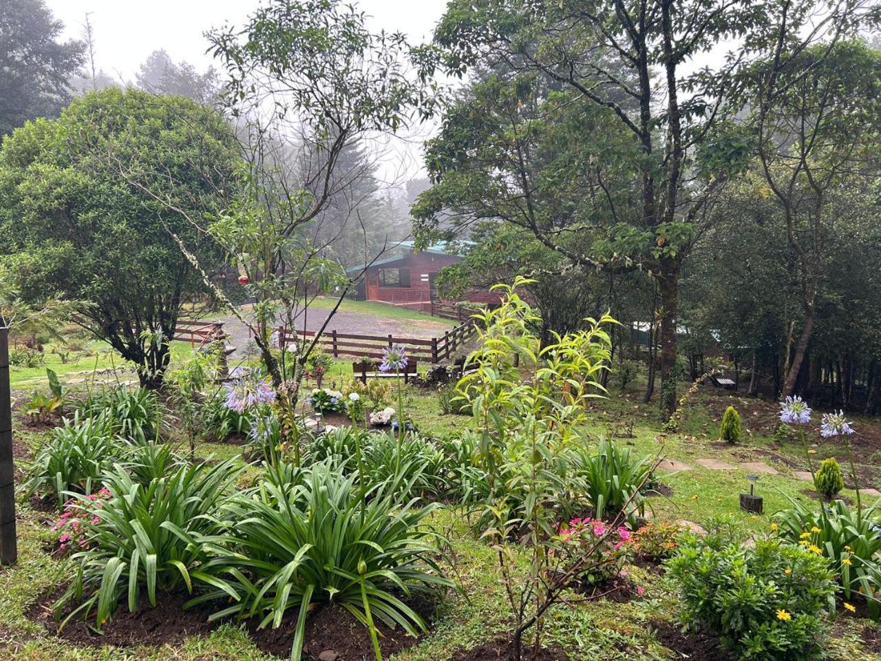 Curuba Lodge Copey ภายนอก รูปภาพ