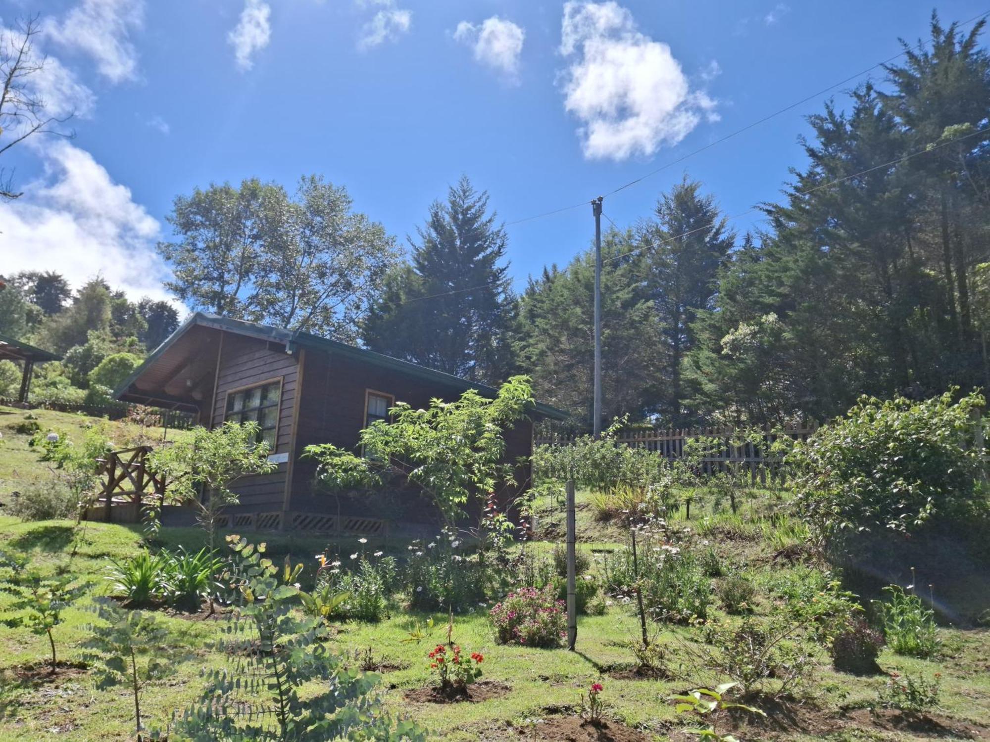 Curuba Lodge Copey ภายนอก รูปภาพ