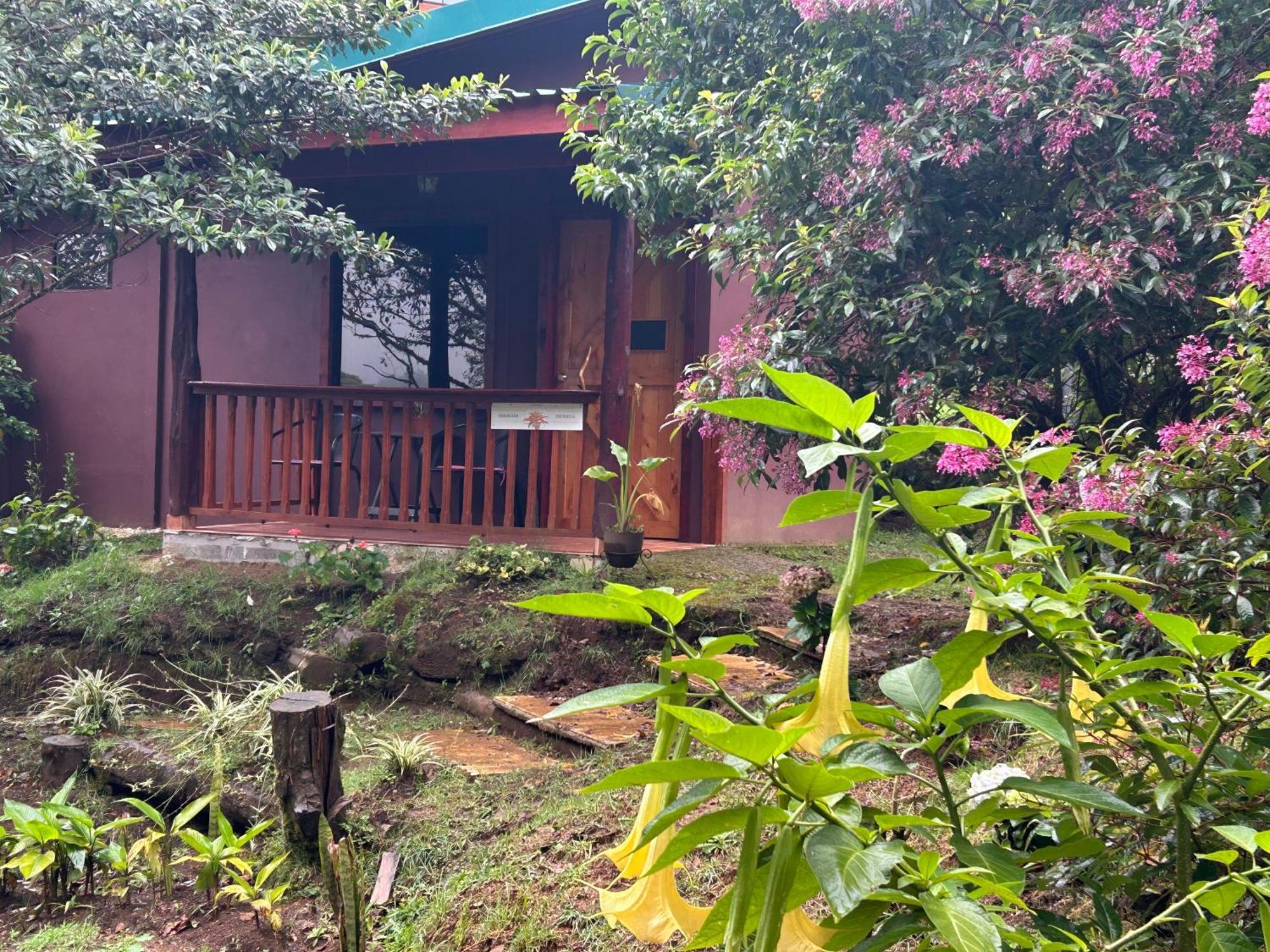 Curuba Lodge Copey ภายนอก รูปภาพ