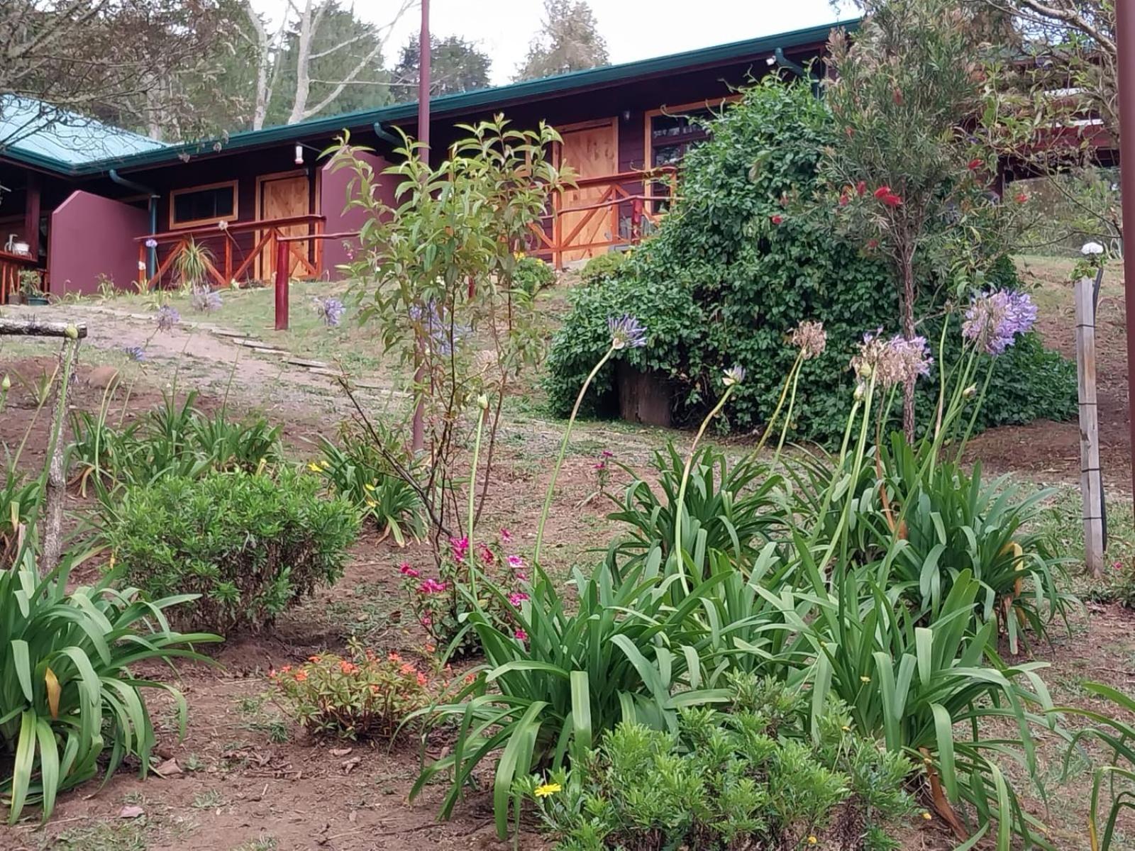 Curuba Lodge Copey ภายนอก รูปภาพ