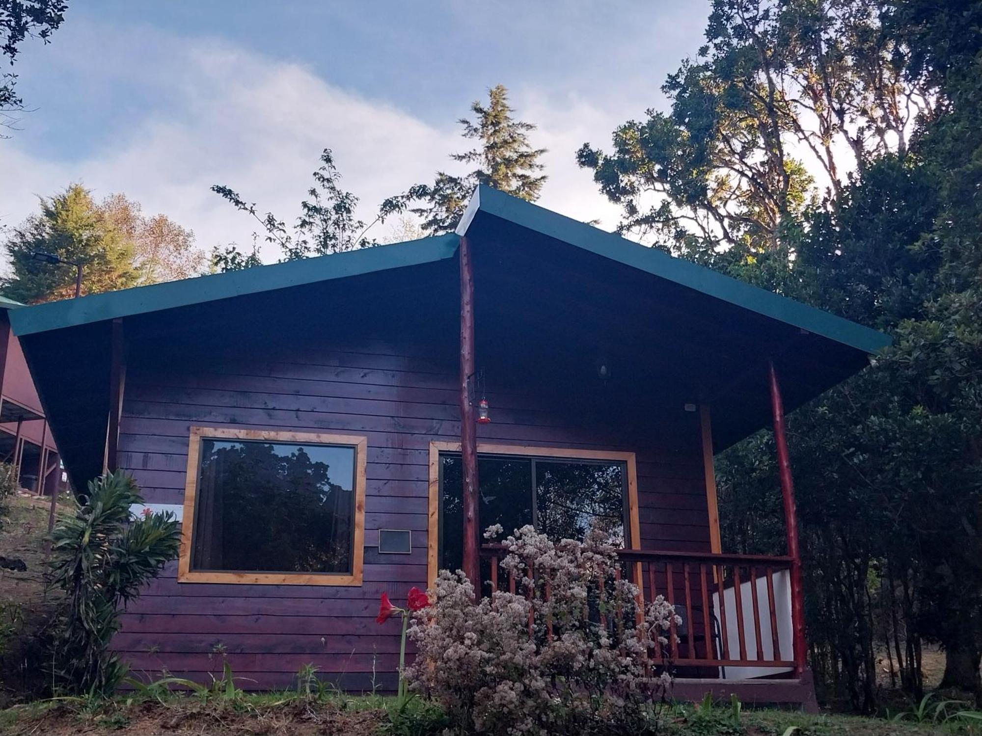 Curuba Lodge Copey ภายนอก รูปภาพ
